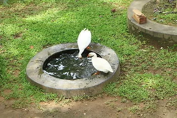 Stay Melody Homestay Thekkady 0*,  India