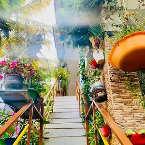  Homestay Mountain View