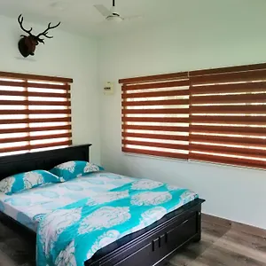  Homestay Noah's Nest Tree House